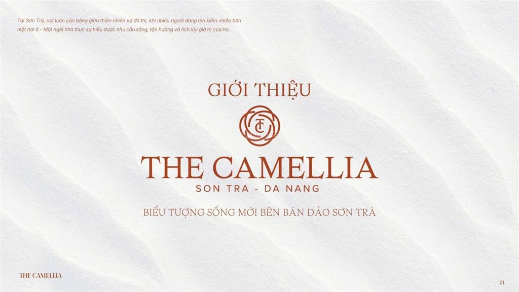Căn hộ biển đà nẵng giá chỉ từ 1tỷ98 (full vat, kpbt và chưa trừ ck)  the camellia đn (mb land)