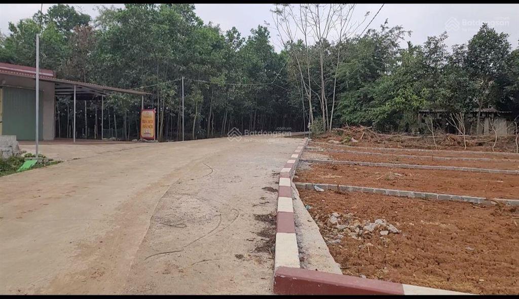 Thời điểm tốt để đầu tư đón sóng đất, nhanh sinh lời.