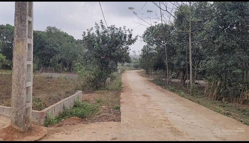 Thời điểm tốt để đầu tư đón sóng đất, nhanh sinh lời.