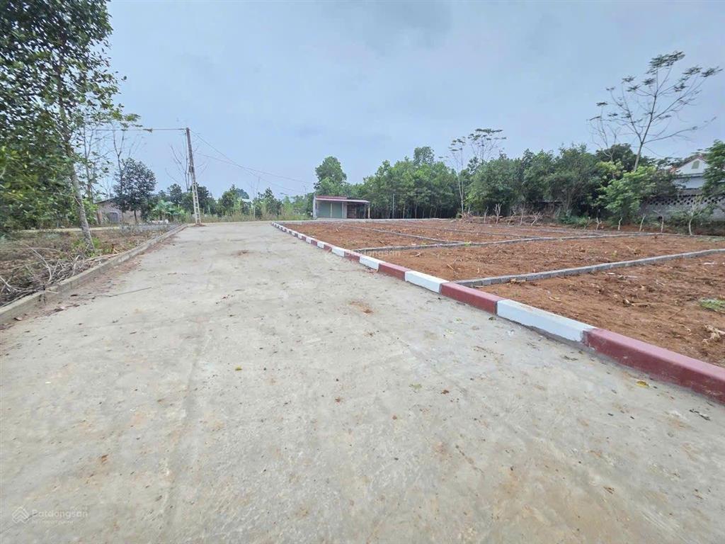 Thời điểm tốt để đầu tư đón sóng đất, nhanh sinh lời.