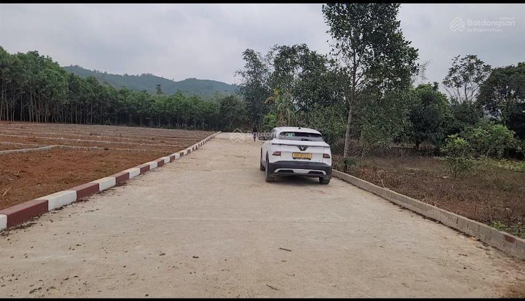 Thời điểm tốt để đầu tư đón sóng đất, nhanh sinh lời.