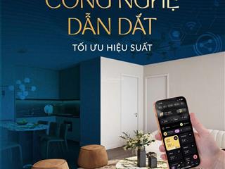 Căn hộ biển sunshine bay khu chí linh, vũng tàu