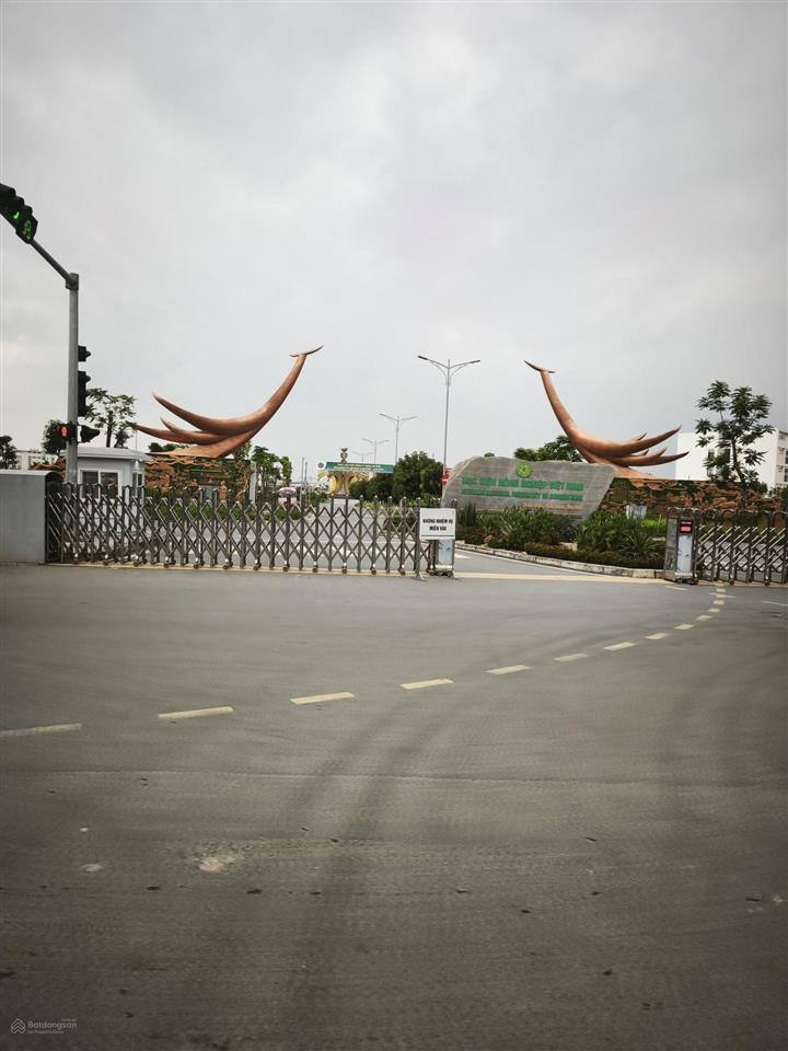 65 m2 lô góc ô tô tránh kd trung tâm trâu quỳ sát vách hvnn 9.3tỷ