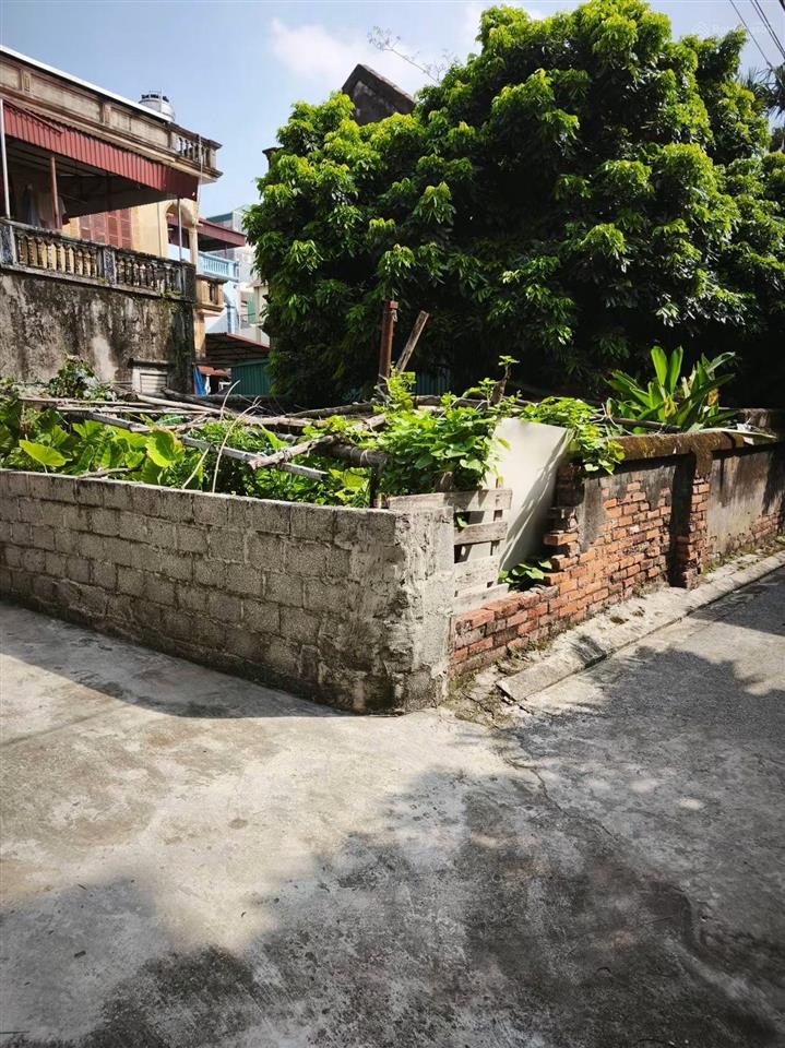 52m2 lô góc ô tô vào đất đa tốn hàng xóm vinhomes ocp1 và ecopark 4.4 tỷ