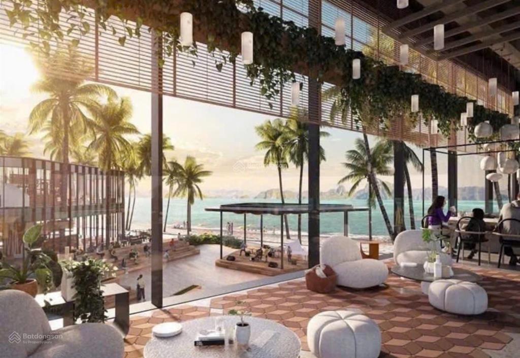 Aria bay hạ long căn hộ sát mặt biển giá rẻ hướng vịnh di sản