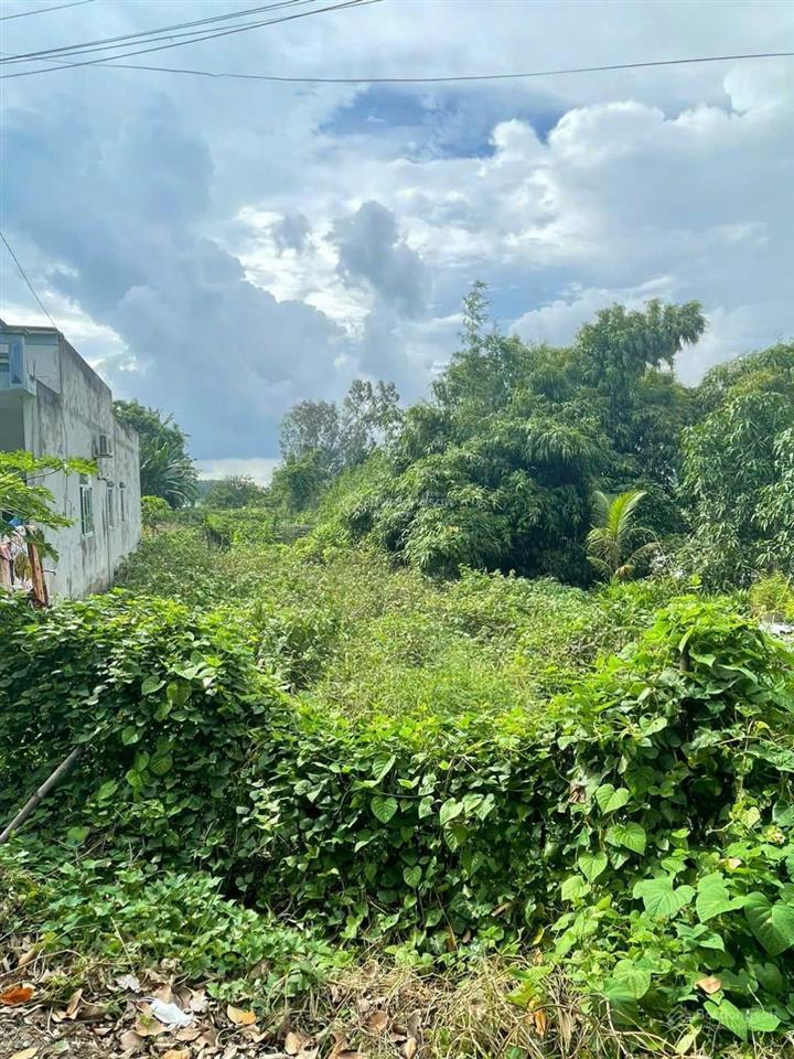 Nhanh tay sở hữu mảnh đất đẹp tại phường mỹ thới, an giang (thành phố long xuyên, an giang cũ)