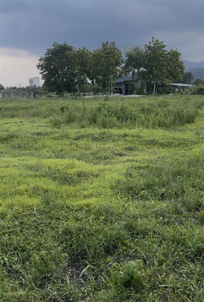 Chủ cần bán đất cây trồng thôn 2 hàm liêm diện tích 1573m2, giá chỉ 460 triệu