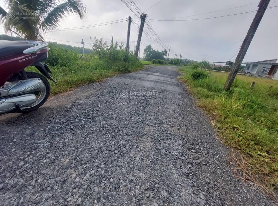 Bán đất lúa đẹp tại gò dầu, tây ninh, 24,5 tỷ, 5205,6 m2, nhiều tiện ích, shr