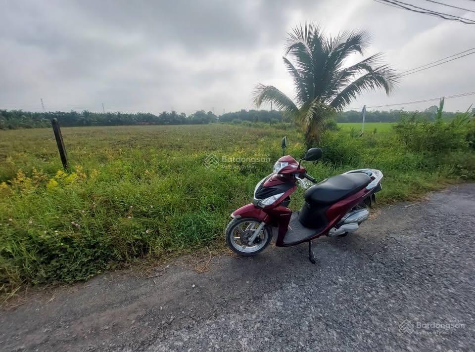 Bán đất lúa đẹp tại gò dầu, tây ninh, 24,5 tỷ, 5205,6 m2, nhiều tiện ích, shr