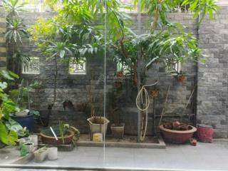 Siêu phẩm tân bình  10*20  giá 52 tỷ tl