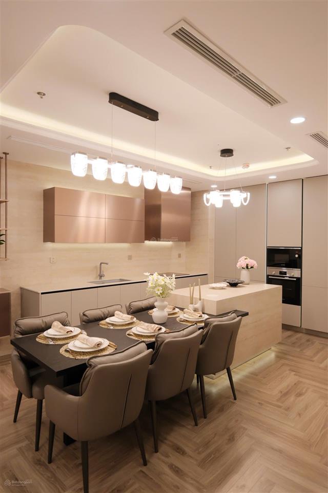 Căn hộ đập thông 5pn times city với tổng diện tích lên tới 187m2,  0989 840 ***