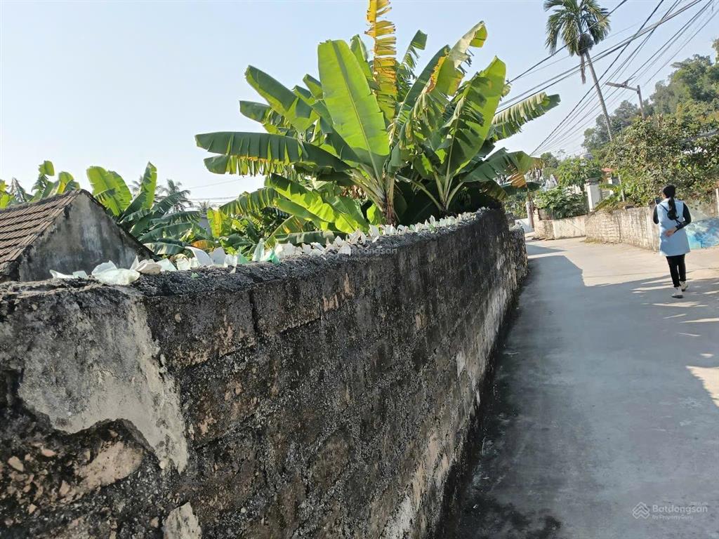 Chính chủ gửi bán 355m lô góc siêu đẹp