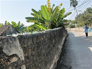 Chính chủ gửi bán 355m lô góc siêu đẹp