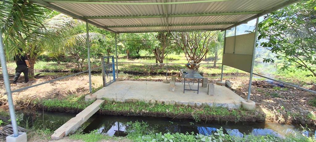 Bán trang trại nhà vườn 4.700m2 giá 580ng/m2