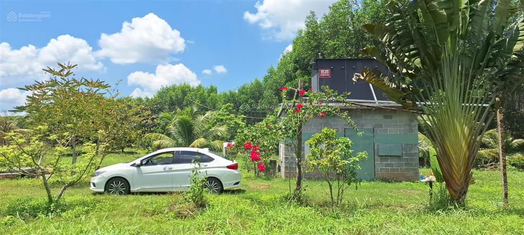 Bán trang trại nhà vườn 4.700m2 giá 580ng/m2