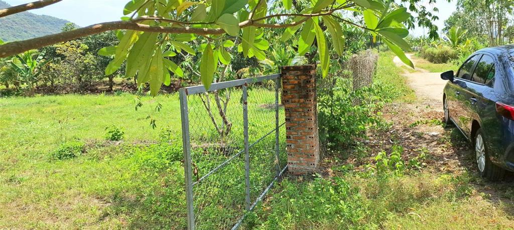 Bán trang trại nhà vườn 4.700m2 giá 580ng/m2