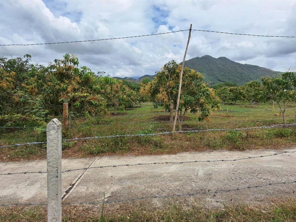 Cho thuê dất trồng cây để làm trang trại rau sạch hoặc sản xuất nông nghiệp