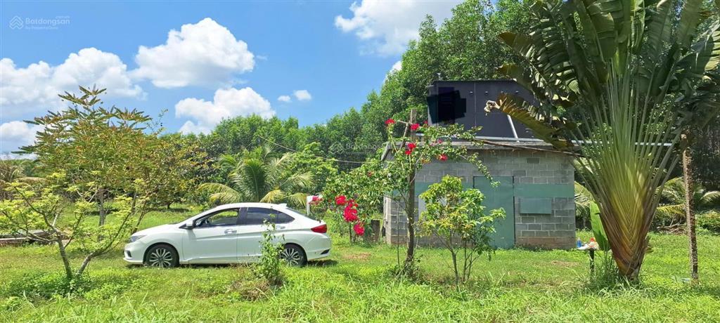 Bán đất có nhà yến, và vườn cây ao cá dt 2208.3m2/880 triệu
