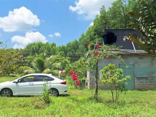 Bán đất có nhà yến, và vườn cây ao cá dt 2208.3m2/880 triệu