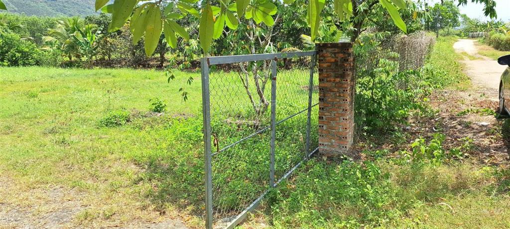 Bán đất có nhà yến, và vườn cây ao cá dt 2208.3m2/880 triệu