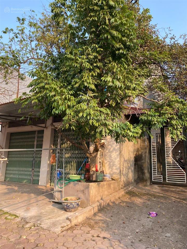 Cho thuê nhà 3 tầng, mặt đường tỉnh lộ 292, vỉa hè rộng rãi tại thôn số 3, xã kép, tỉnh bắc ninh