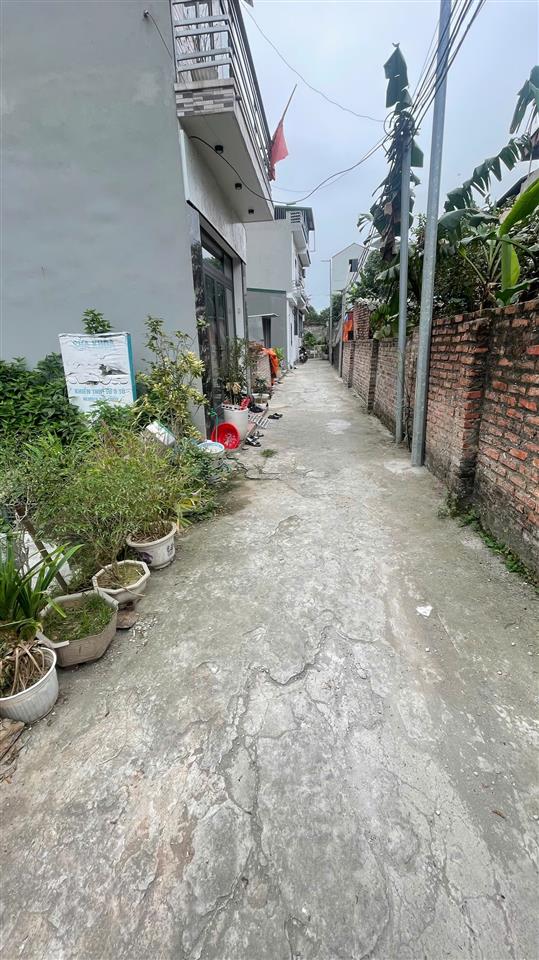 🌟 BÁN ĐẤT DƯƠNG QUANG - XÃ THUẬN AN  59m²  GIÁ CHỈ 2.9X TỶ 🌟