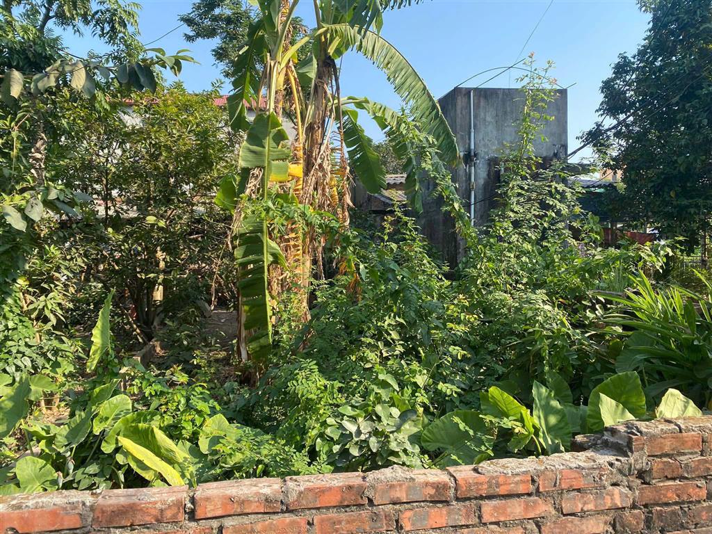 BÁN ĐẤT ĐÔNG DƯ – BÁT TRÀNG  41,7m²  Ô TÔ VÀO SÁT NHÀ  CẠNH HỒ ĐIỀU HÒA  GIÁ CHỈ 5 TỶ
