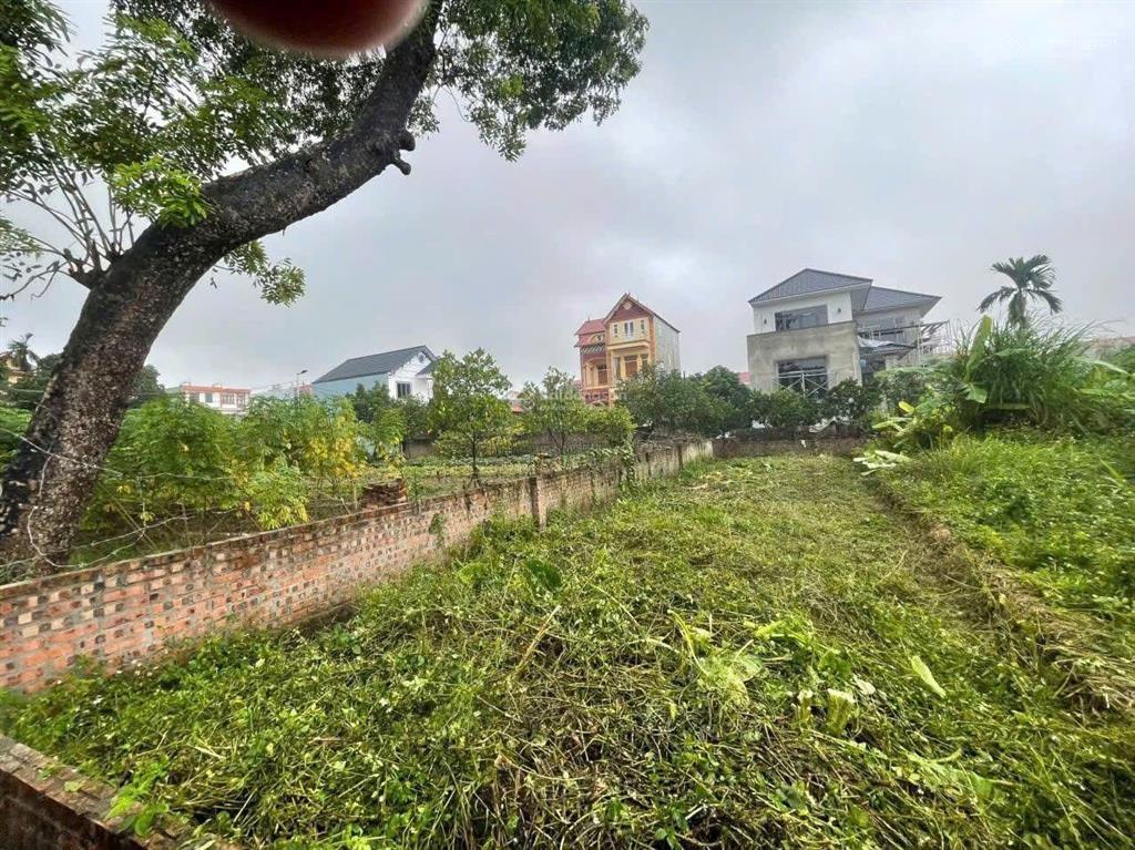Bán lô đất đẹp tại phú hữu, thanh lâm, mê linh  giá rẻ nhất khu vực