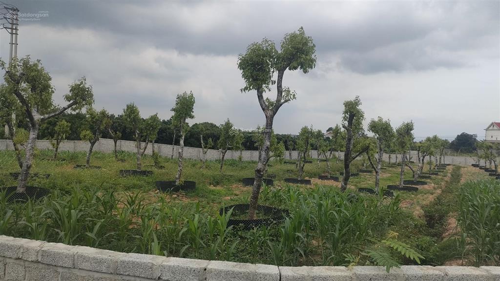 Đất hòa lạc 210m2. nhỉnh 4 tỷ sổ đỏ chính chủ vị trí đẹp đất cạnh hồ điều hòa