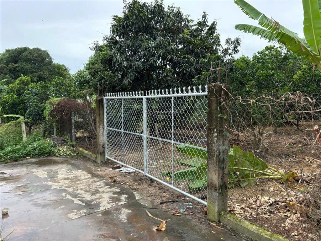 Bán đất vườn diện tích lớn giá tốt thiện tân cũ (nay thuộc phường trảng dài) thông