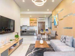 Chính chủ cần bán ch 2pn + full nội thất, tại the everrich infinity  quận 5