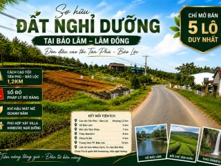 Đất 2 mặt tiền bảo lâm đường nhựa view đẹp sổ đỏ riêng phù hợp nghỉ dưỡng, đầu tư lâu dài