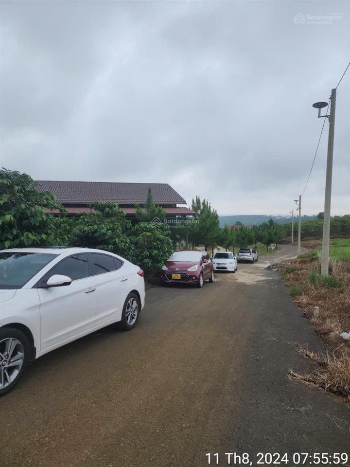 8,5 tỷ trọn gói 891m2 đất + homestay 9 phòng đang hoạt động + hồ bơi tại bảo lâm, lâm đồng