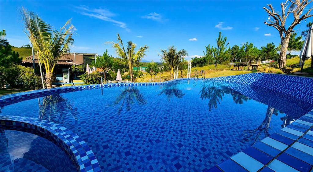 8,5 tỷ trọn gói 891m2 đất + homestay 9 phòng đang hoạt động + hồ bơi tại bảo lâm, lâm đồng
