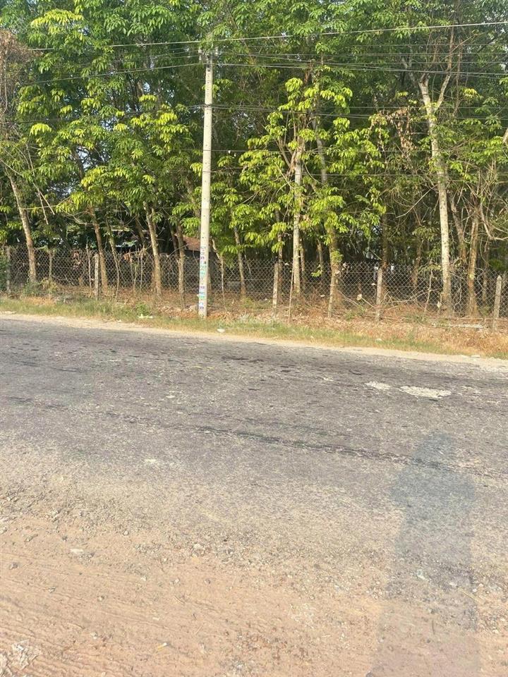 Bán đất tại trần đại nghĩa, hòa lợi, 3 tỷ, 260m2