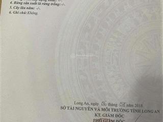 Chỉ 780 tr - 100% thổ - SHR xây dựng tự do KDC Nam Phong Dragon, TL 826, Tân Trạch, Cần