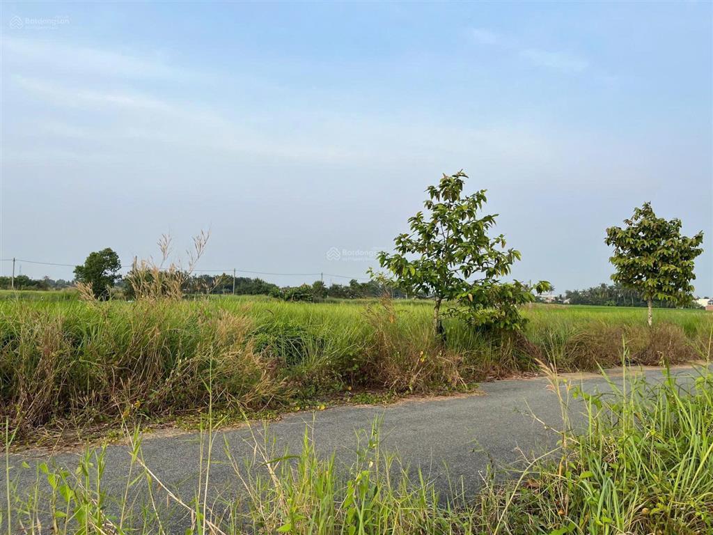 Chỉ 780 tr - 100% thổ - SHR xây dựng tự do KDC Nam Phong Dragon, TL 826, Tân Trạch, Cần