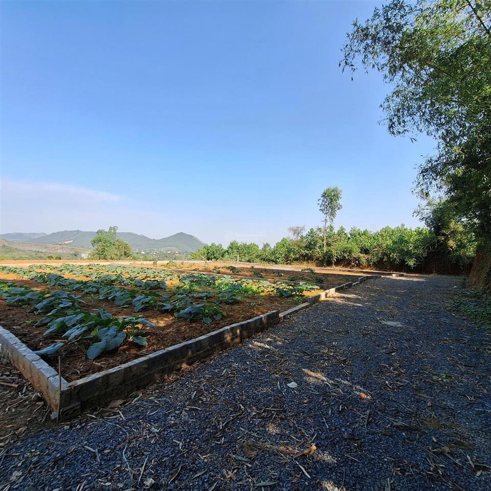 152 m2 giá 525 tr - ĐẤT CHÍNH CHỦ Hòa Lạc HN