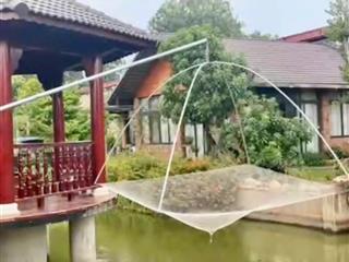 Cho thuê hoặc bán biệt thự nhà vườn mặt tiền đường Long Thuận