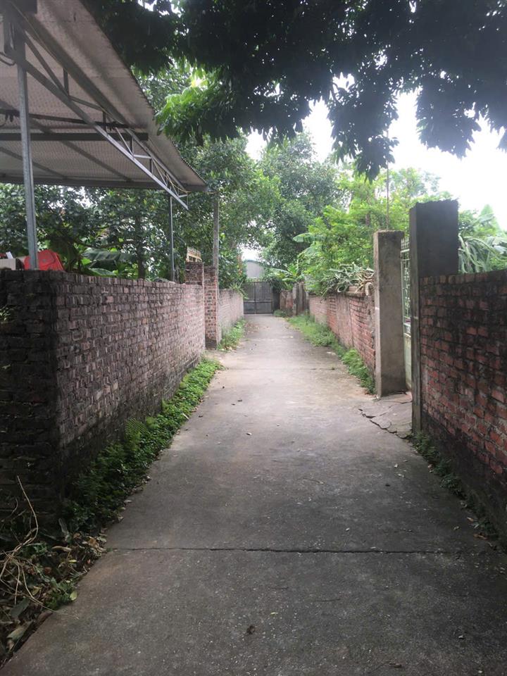 CHÍNH CHỦ BÁN ĐẤT TẠI TÂN TRẠI, PHÚ CƯỜNG, SÓC SƠN, HÀ NỘI.