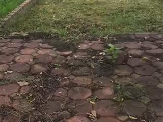 Nhà đẹp phân lô thôn bắc hạ xã quang tiến sóc sơn hà nội