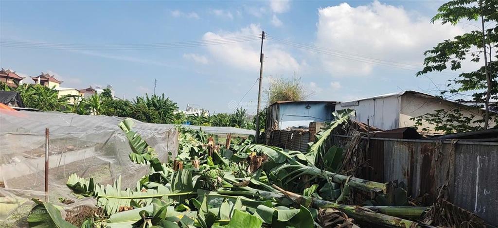 Bán đất tại xã tân hiệp, hóc môn, hồ chí minh, 2,15 tỷ, 80 m2 (trong đó 75 m2 đất ở)
