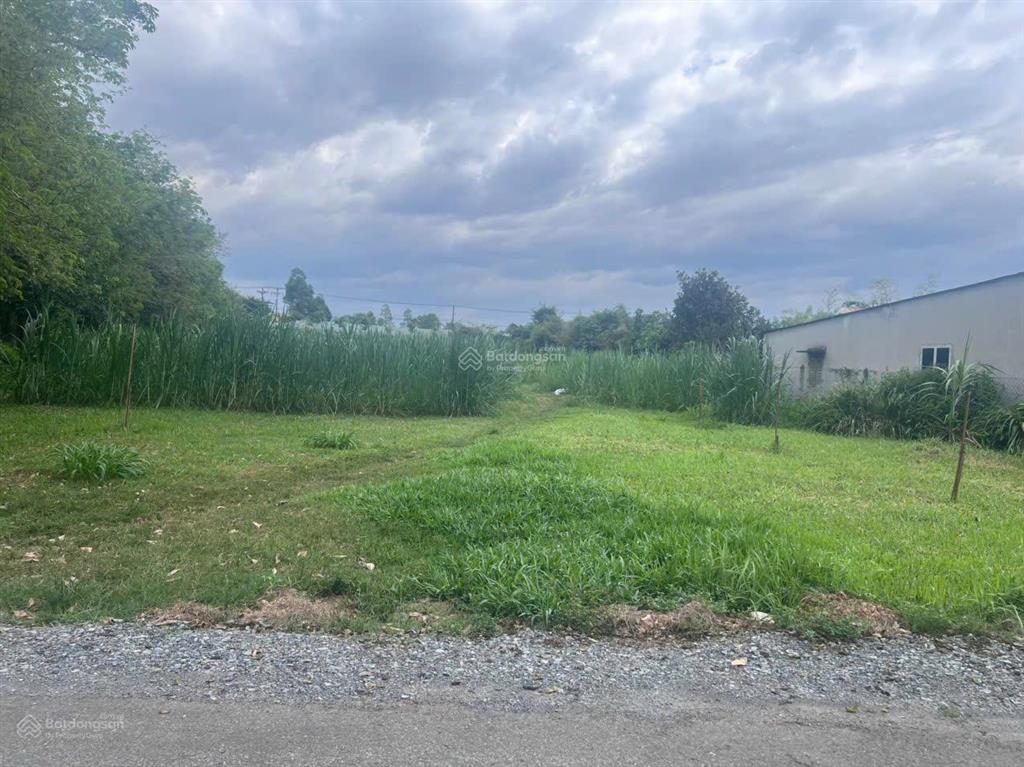 Siêu phẩm củ chi 3812m2 nguyễn thị dòn  có 823m2 thổ cư  bank cho vay 13 tỷ!