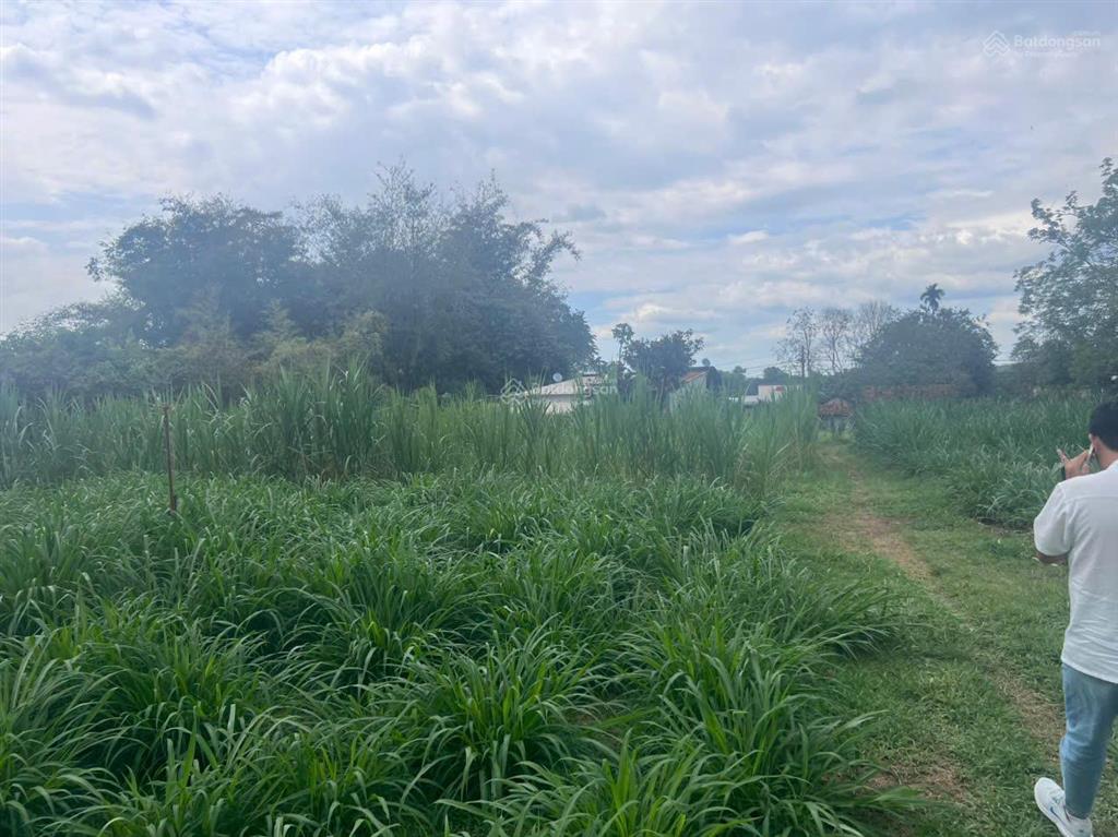 Siêu phẩm củ chi 3812m2 nguyễn thị dòn  có 823m2 thổ cư  bank cho vay 13 tỷ!