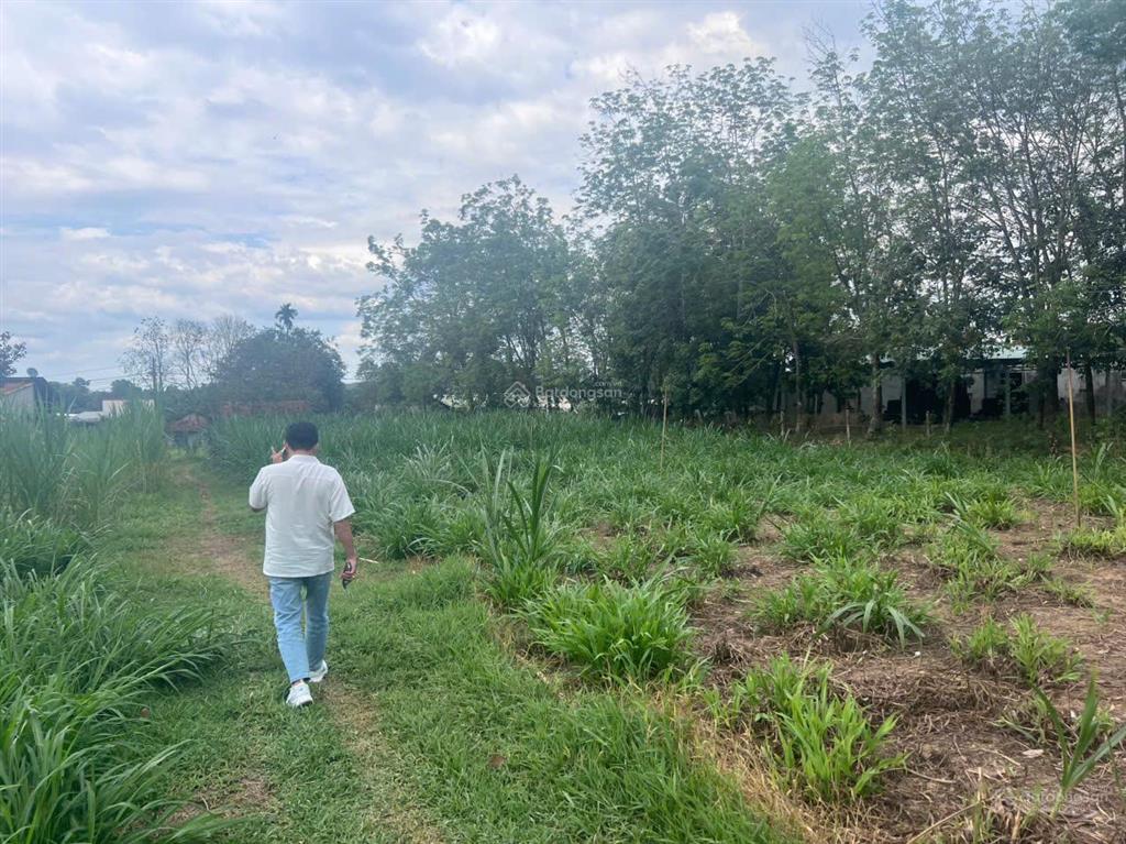 Siêu phẩm củ chi 3812m2 nguyễn thị dòn  có 823m2 thổ cư  bank cho vay 13 tỷ!