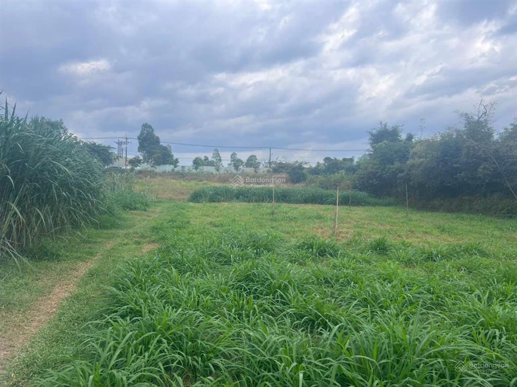 Siêu phẩm củ chi 3812m2 nguyễn thị dòn  có 823m2 thổ cư  bank cho vay 13 tỷ!