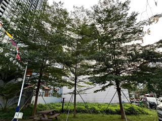 Lô góc 2 mặt tiền a38 huy hoàng thạnh mỹ lợi, quận 2 dt 8x18m(145m2) xd hầm + 6 tầng gía 36 tỷ tl