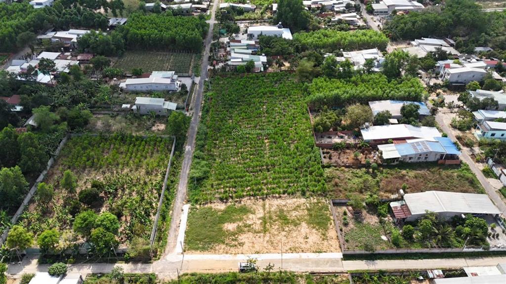 Hàng f0 tân hiệp  giá sĩ đầu tư  125m2