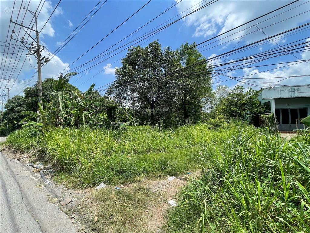 Hạ giá 1,5 tỷ, cần bán gấp 1.267m2 đinh quang ân, biên hòa, đồng nai. 17,5m x 81m