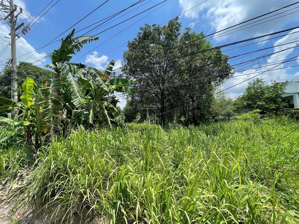 Hạ giá 1,5 tỷ, cần bán gấp 1.267m2 đinh quang ân, biên hòa, đồng nai. 17,5m x 81m